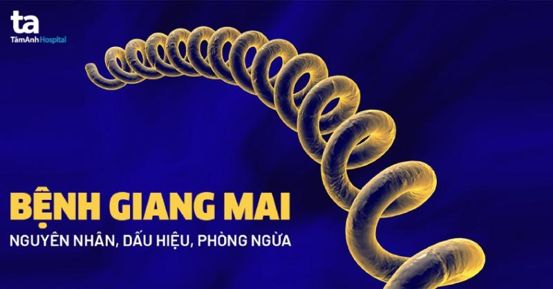 Hình ảnh minh họa thời gian ủ bệnh giang mai, quá trình phát triển của xoắn khuẩn
